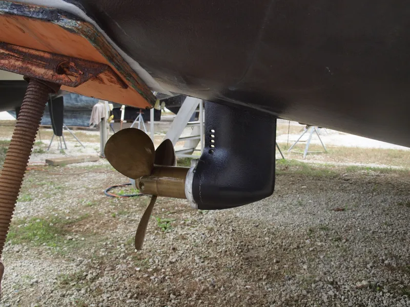 Slide: The Image of Leopard 44 2012 - 6052659