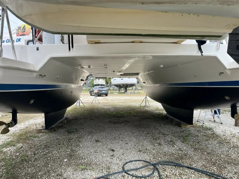 Slide: The Image of Leopard 44 2012 - 6052691