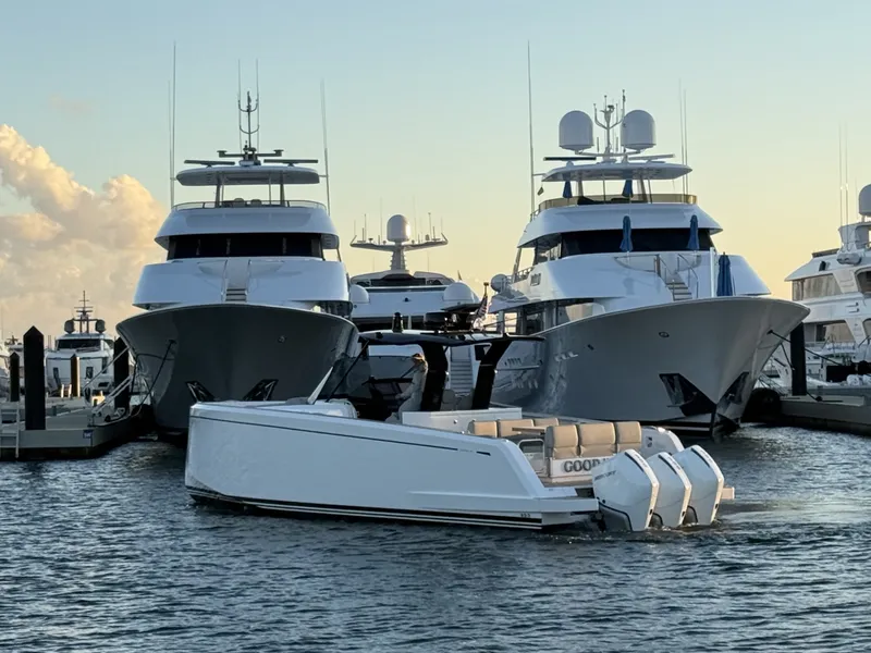 Slide: The Image of Pardo 38 2023 - 6053183