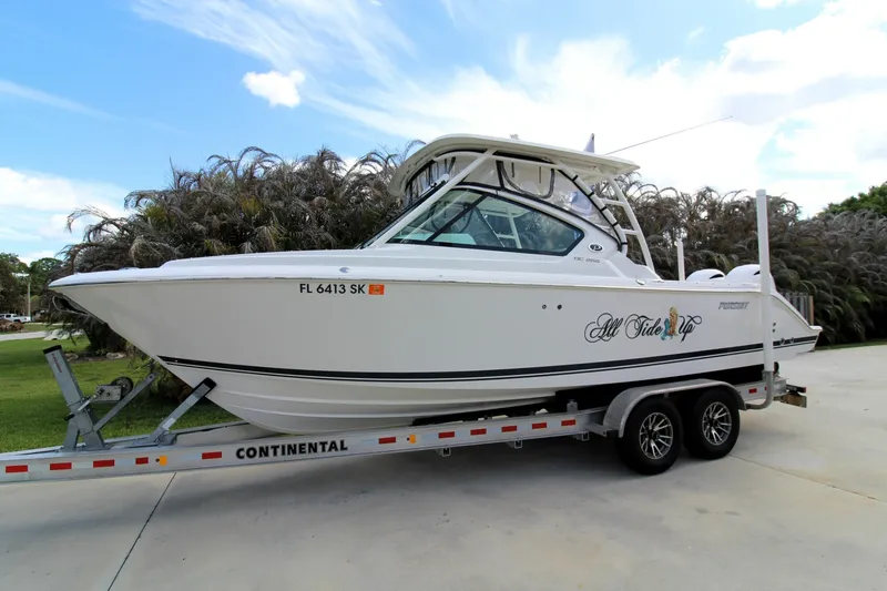 The Image of Pursuit DC 266 2019 - 6065274