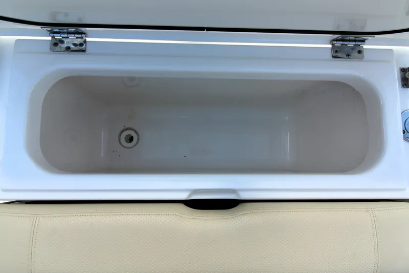 Slide: The Image of Pursuit DC 266 2019 - 6065297