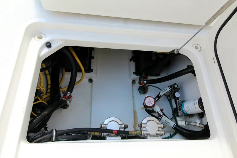 Slide: The Image of Pursuit DC 266 2019 - 6065300