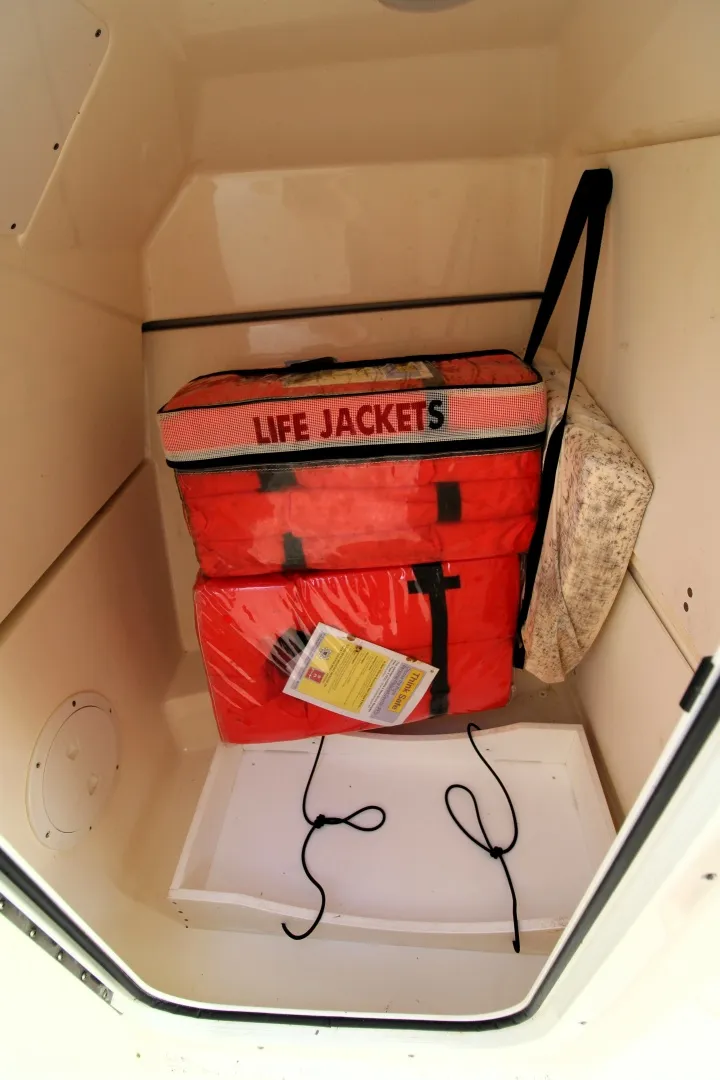 Slide: The Image of Pursuit DC 266 2019 - 6065303