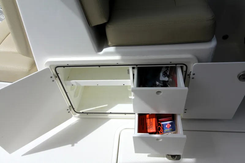 Slide: The Image of Pursuit DC 266 2019 - 6065306