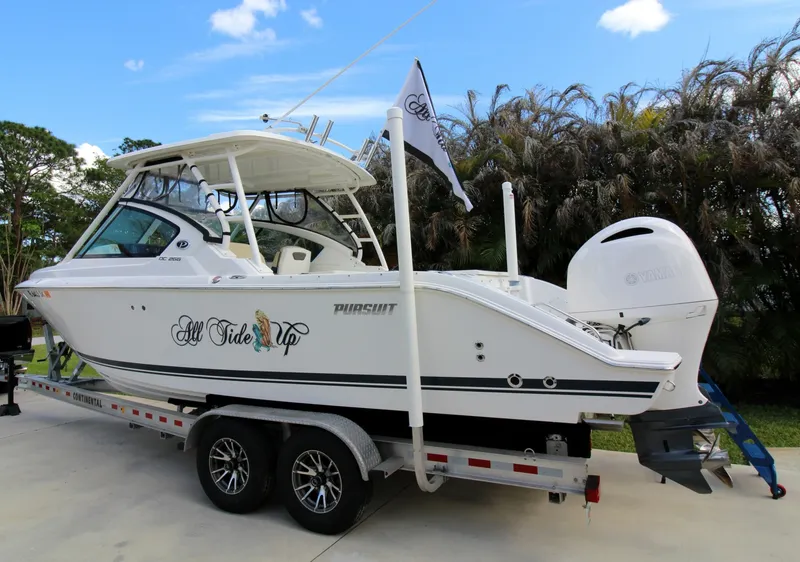 Slide: The Image of Pursuit DC 266 2019 - 6065276