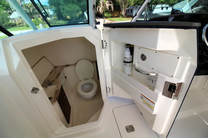 Slide: The Image of Pursuit DC 266 2019 - 6065282