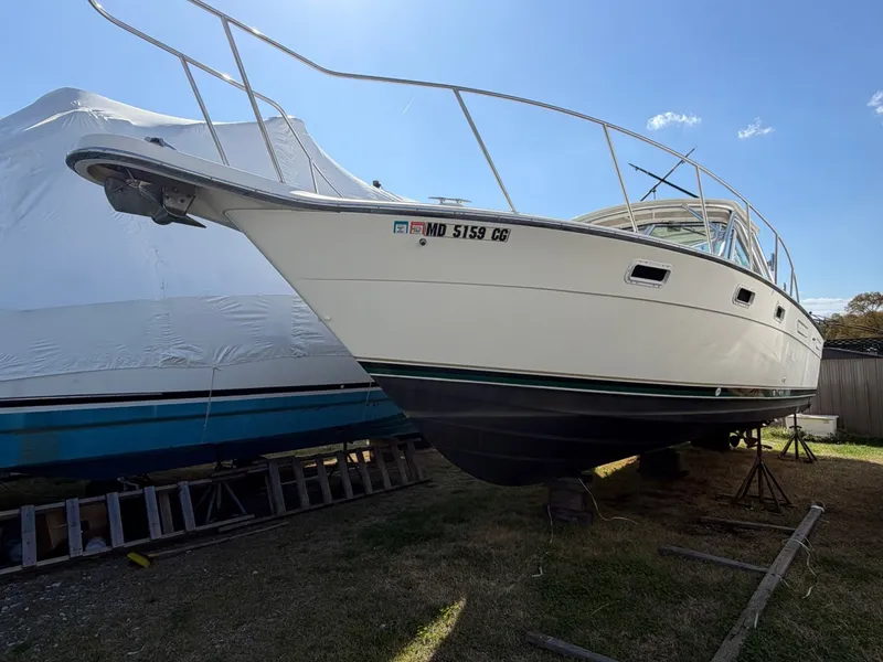 The Image of Pursuit 3100 Express 1997 - undefined