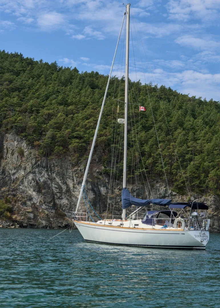 The Image of Tartan 37 1980 - undefined