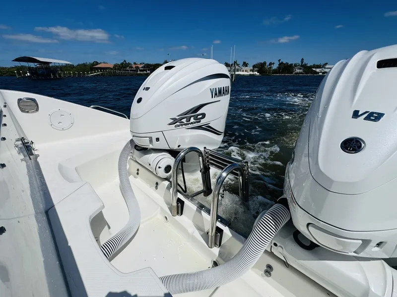 Slide: The Image of Pursuit OS 355 2021 - 6057224