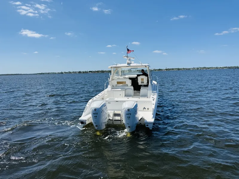 Slide: The Image of Pursuit OS 355 2021 - 6057184