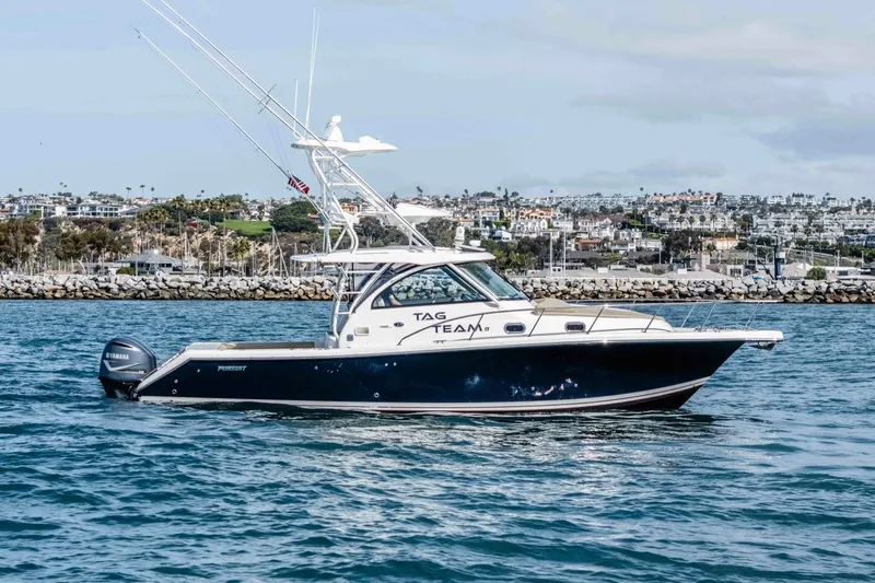 The Image of 2018 38 Pursuit Off Shore - Tag Team - 6062858