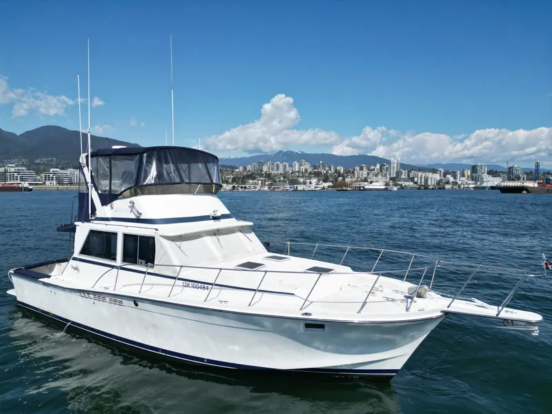 The Image of Uniflite 42 1981 - 6061580