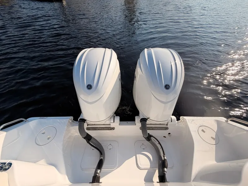 Slide: The Image of Sea Hunt SE 2024 - 6061874