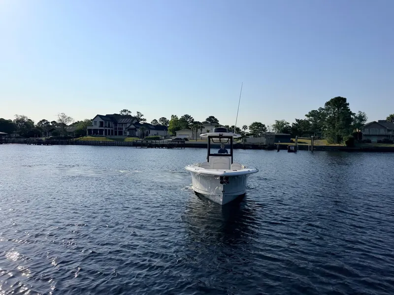 Slide: The Image of Sea Hunt SE 2024 - 6061883