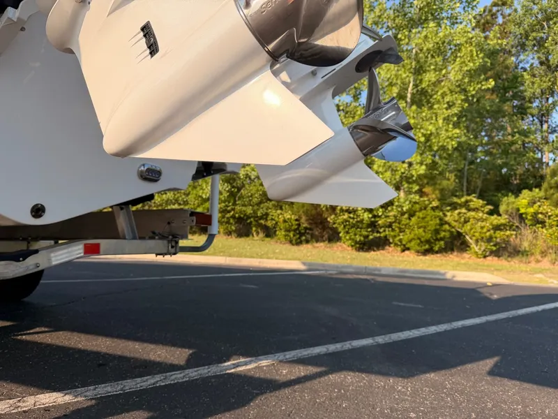 Slide: The Image of Sea Hunt SE 2024 - 6061870