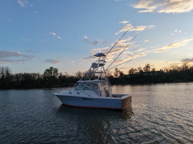 Slide: The Image of Pursuit 3400 2000 - 6062289