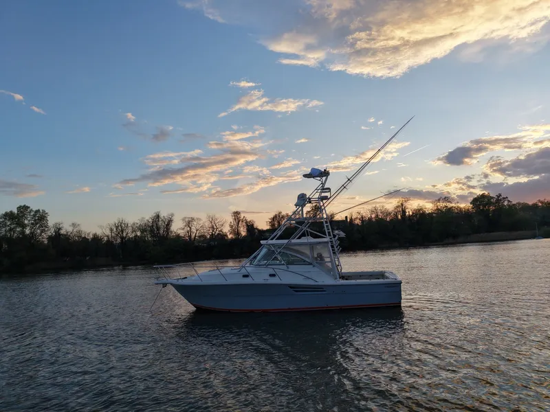 Slide: The Image of Pursuit 3400 2000 - 6062290