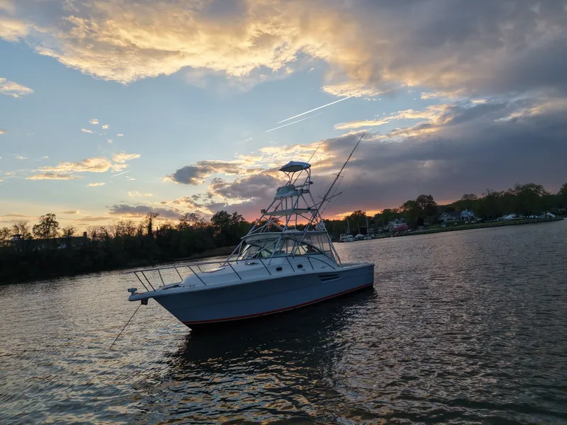 Slide: The Image of Pursuit 3400 2000 - 6062291