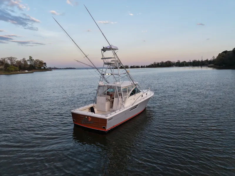 Slide: The Image of Pursuit 3400 2000 - 6062299