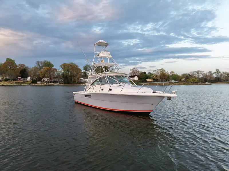 Slide: The Image of Pursuit 3400 2000 - 6062282