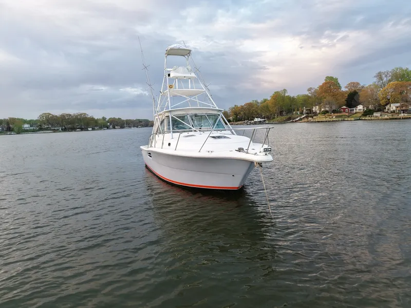 Slide: The Image of Pursuit 3400 2000 - 6062293