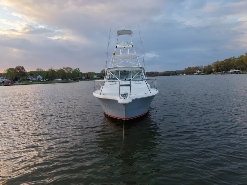 Slide: The Image of Pursuit 3400 2000 - 6062292