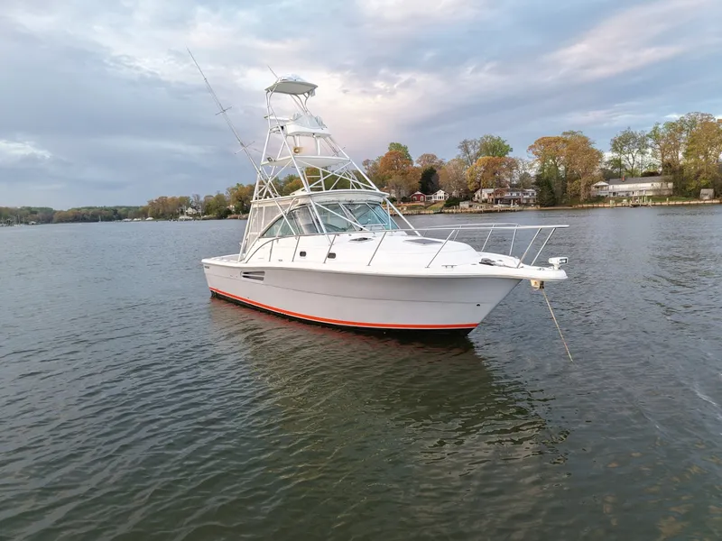 Slide: The Image of Pursuit 3400 2000 - 6062294