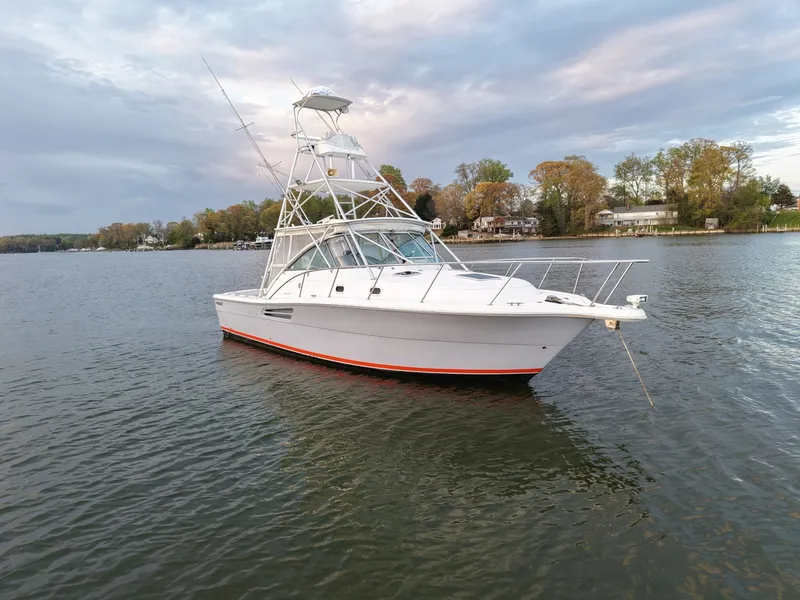 Slide: The Image of Pursuit 3400 2000 - 6062295