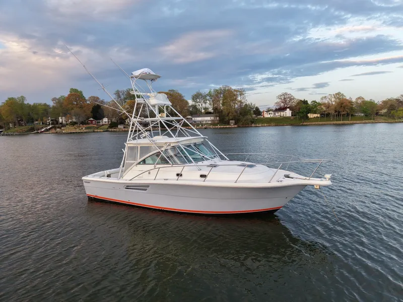 Slide: The Image of Pursuit 3400 2000 - 6062296