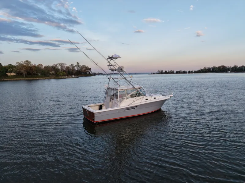 Slide: The Image of Pursuit 3400 2000 - 6062315