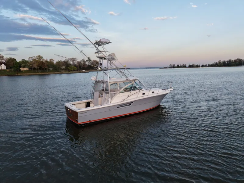 Slide: The Image of Pursuit 3400 2000 - 6062298