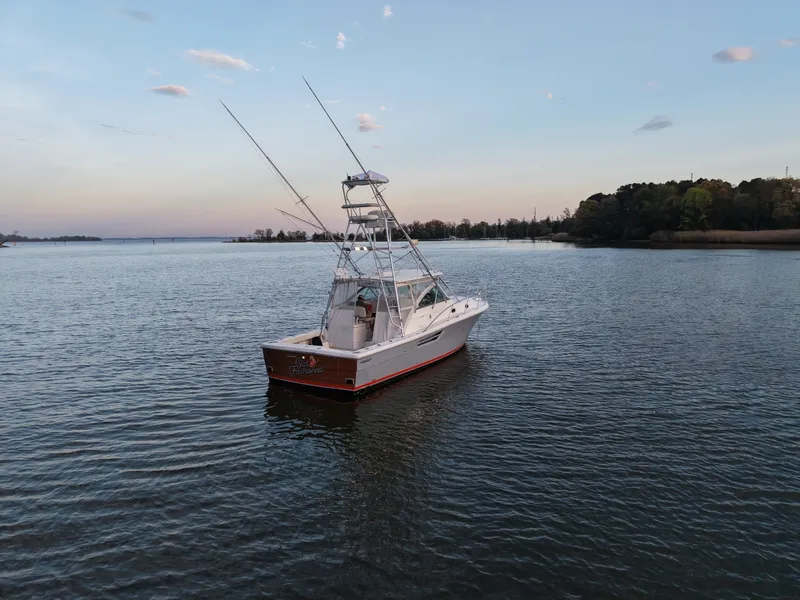 Slide: The Image of Pursuit 3400 2000 - 6062316