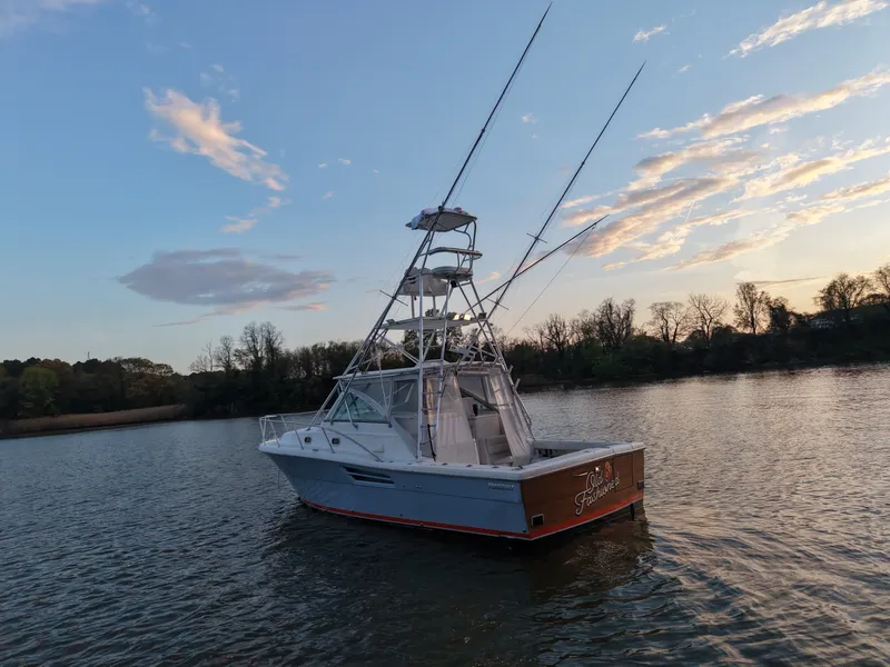 Slide: The Image of Pursuit 3400 2000 - 6062301