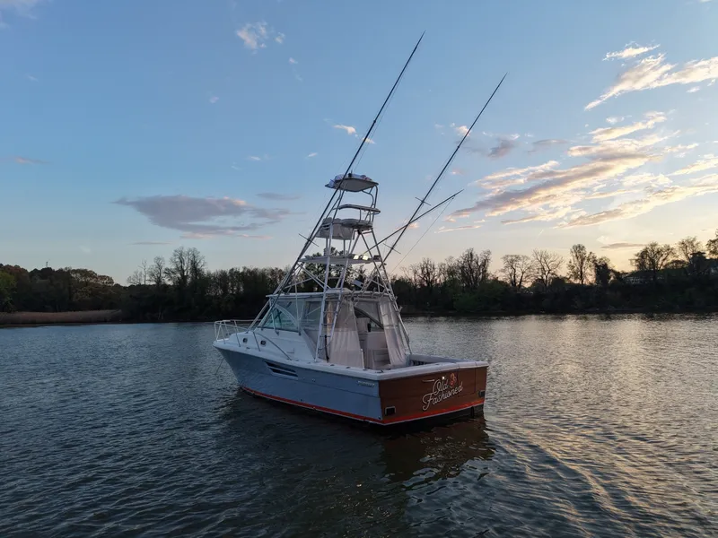 Slide: The Image of Pursuit 3400 2000 - 6062288