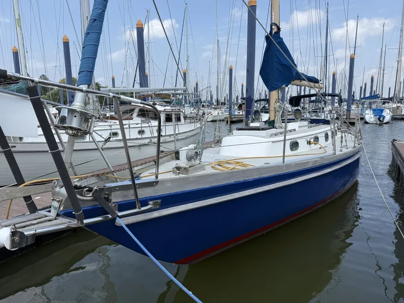 Slide: The Image of Allied XL-2 1981 - 6062926