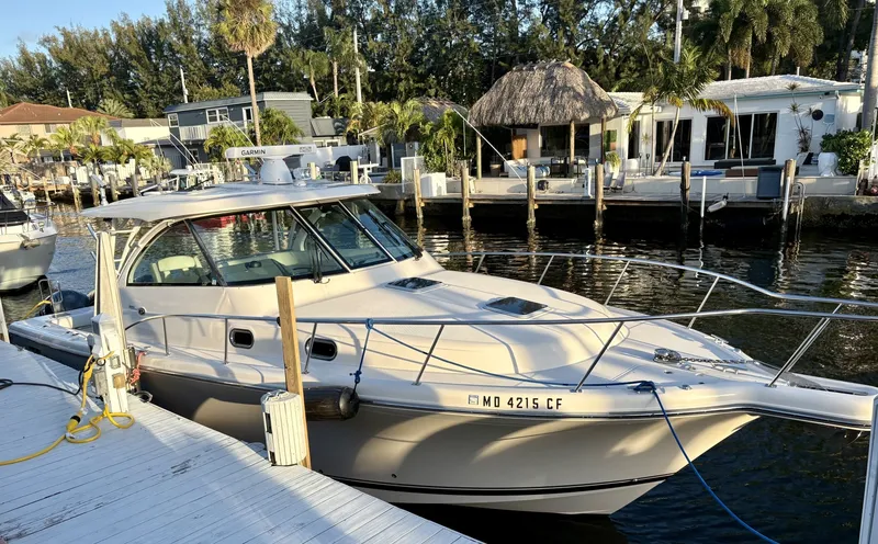 The Image of Pursuit 38 SALTY SUSEA - Profile  - 6064758