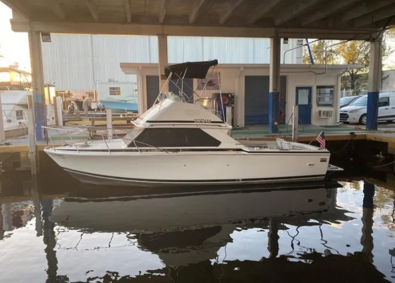 The Image of Bertram 28 Sport Fly Fish 1987 - 6065748