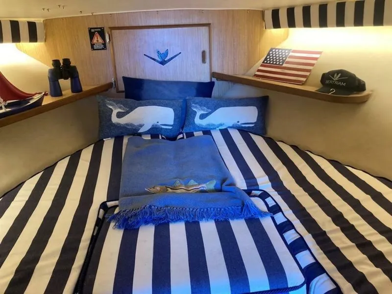 Slide: The Image of Bertram 28 Sport Fly Fish 1987 - 7830621