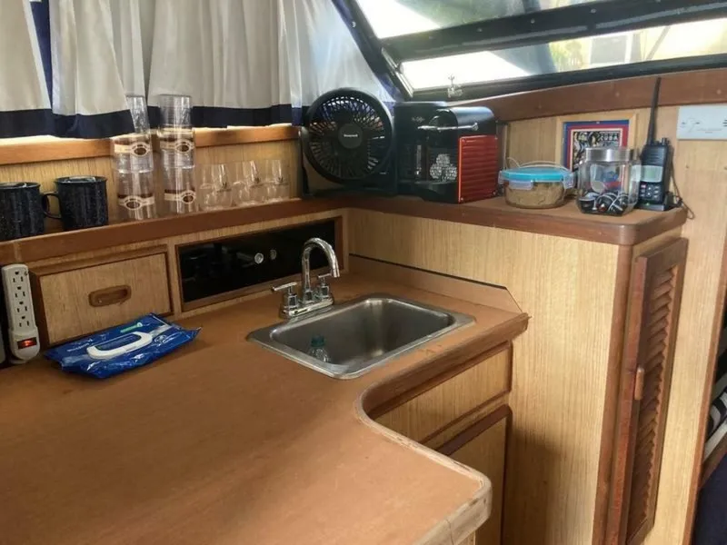 Slide: The Image of Bertram 28 Sport Fly Fish 1987 - 7830623