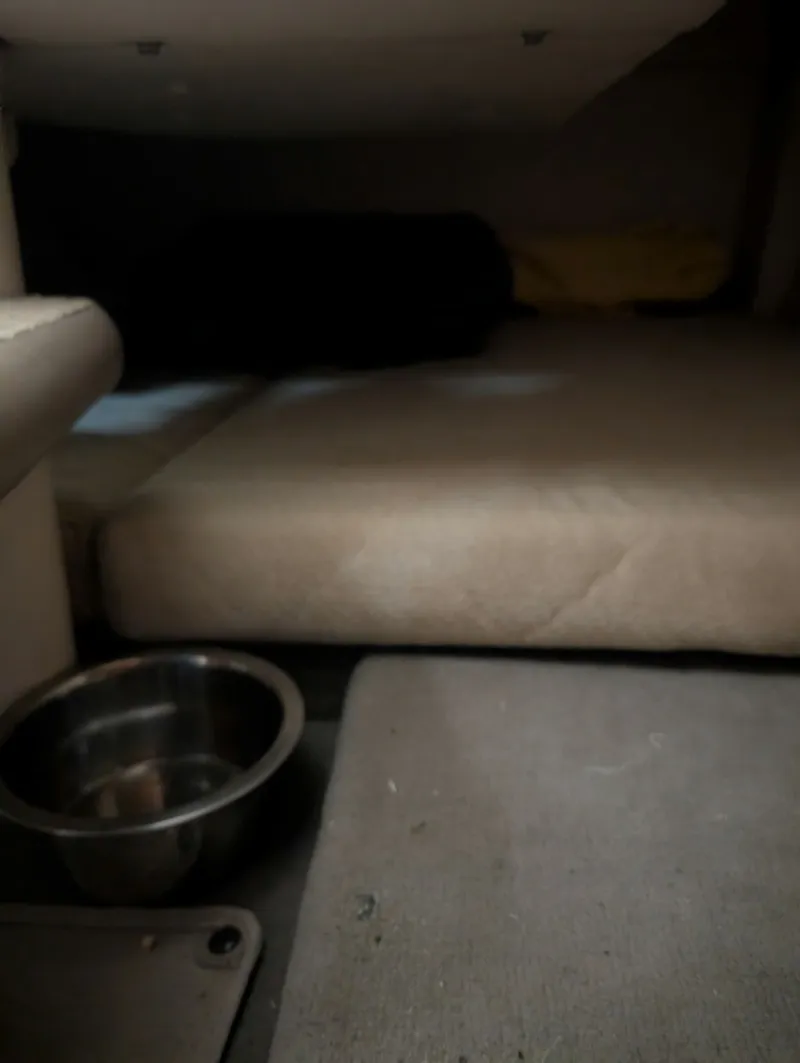 Slide: The Image of Sea Ray 240 Sundancer 2006 - 6065124