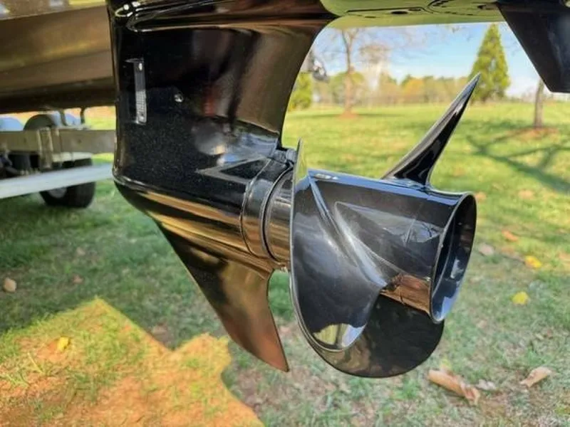 Slide: The Image of South Bay 24 2021 - 6065826