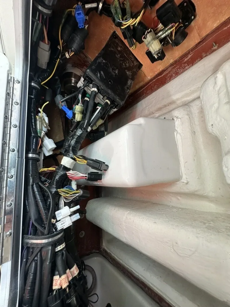 Slide: The Image of Sea Hunt 25 Gamefish 2018 - 6066227