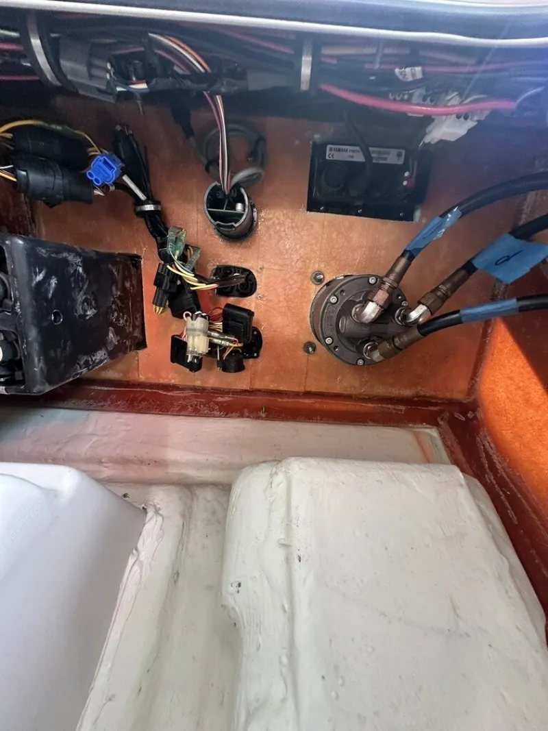 Slide: The Image of Sea Hunt 25 Gamefish 2018 - 6066228