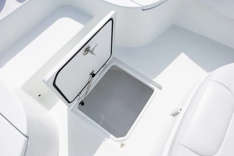 Slide: The Image of Contender 23 Bay 2024 - 6066529