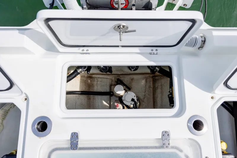 Slide: The Image of Contender 23 Bay 2024 - 6066510