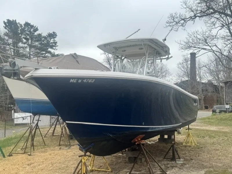 Slide: The Image of Sailfish 290 CC 2013 - 6066910