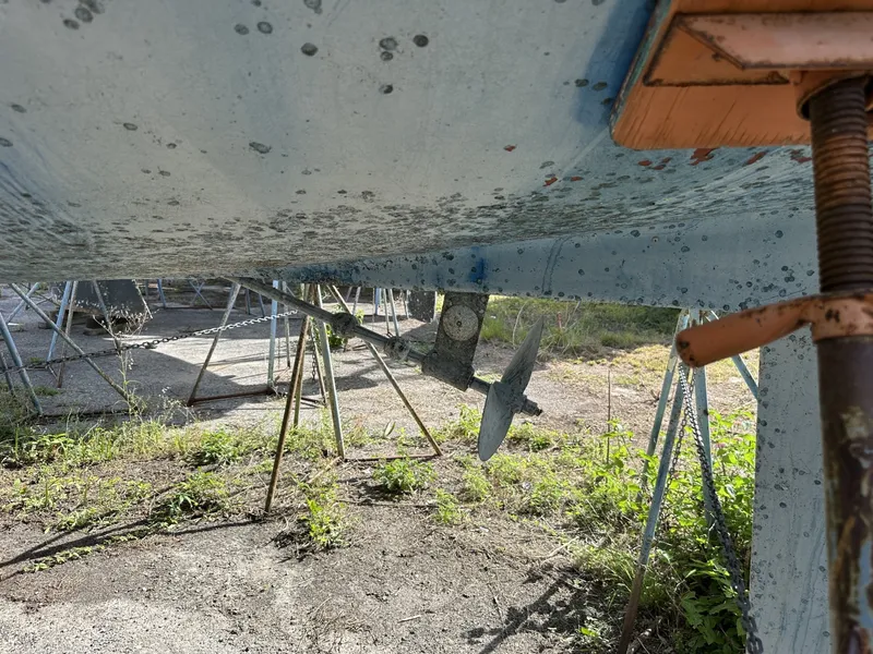 Slide: The Image of Catalina MKI 1991 - 6084901