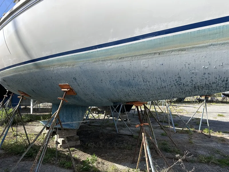 Slide: The Image of Catalina MKI 1991 - 6084912