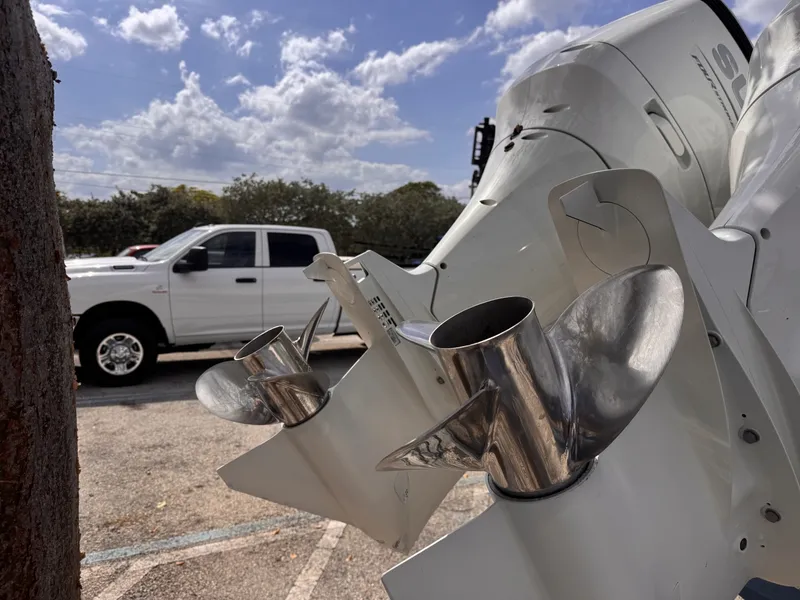 Slide: The Image of Sea Chaser 27 2022 - 6070659