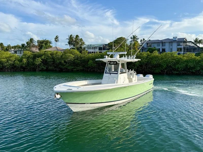 Slide: The Image of Regulator Marine 31 2020 - 6070705